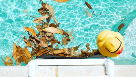 SKIMMER SAVER by Fischer™ for Inground Pool Skimmer