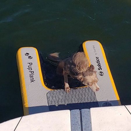 Inflatable Pup Plank