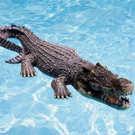 Crocodile Body Float In Pool