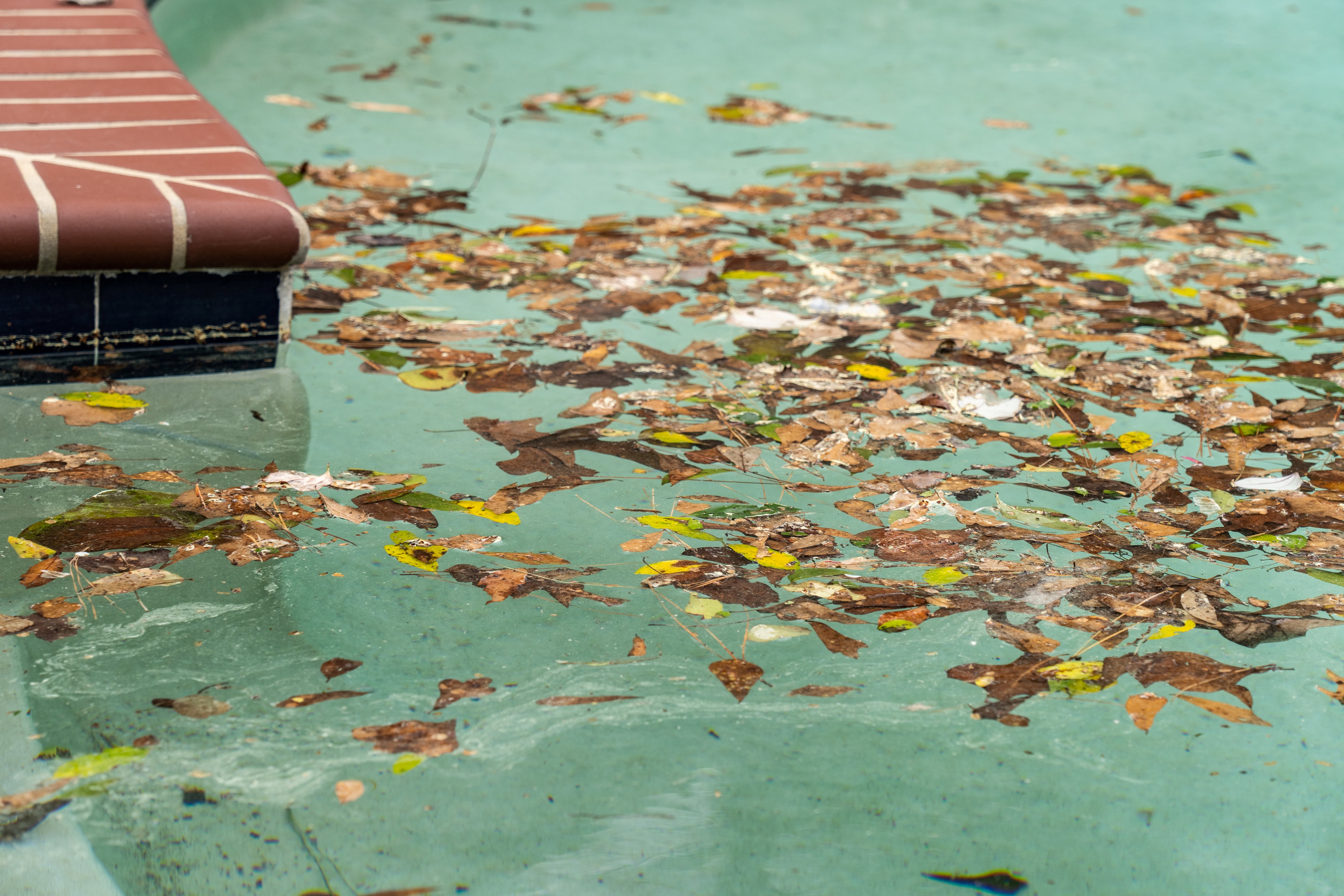 pool with debris in it 